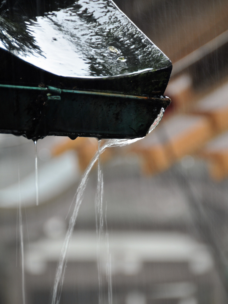 雨の英彦山