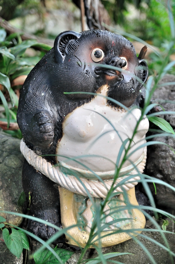 廃屋を見守る者