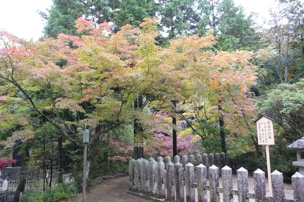 秋を探しに東行庵