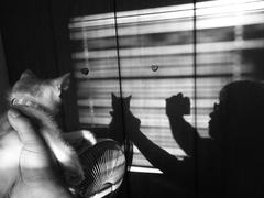 キミとボクの影