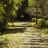 Old Track