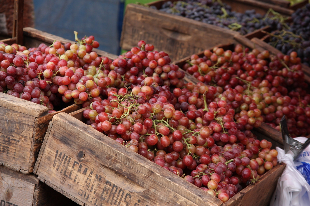 Grapes??