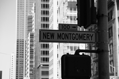 NEW MONTGOMERY