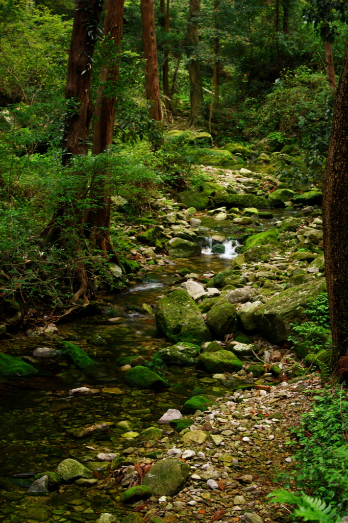 雁荡山~YanDangMountain~