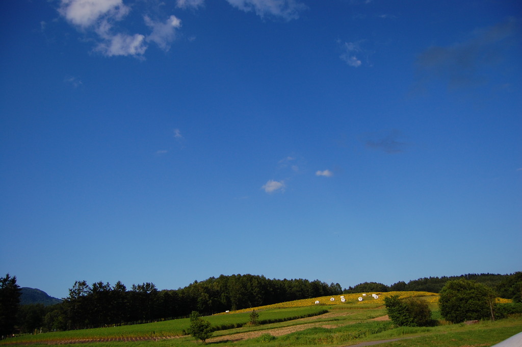 夏空