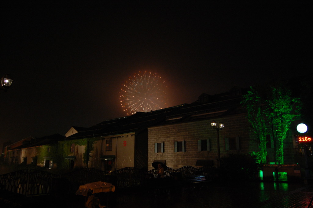 運河と花火