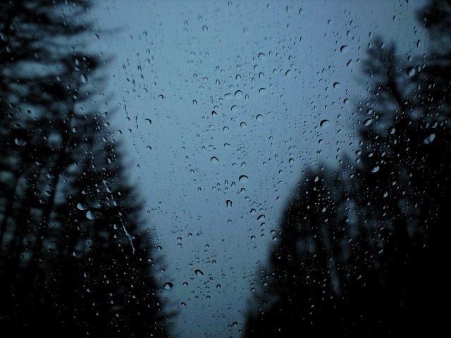 RAIN. Dear You…