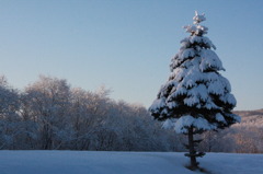 積雪の有様