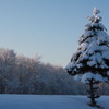 積雪の有様
