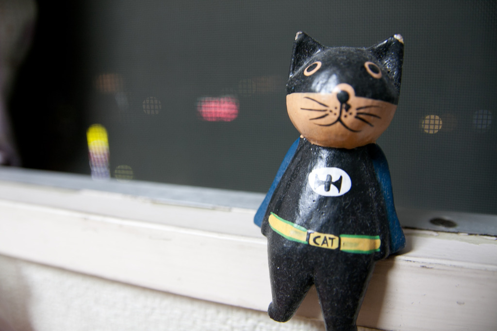 Bat Cat