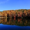 水面に紅葉