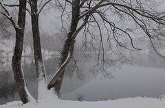 雪の降る湖畔