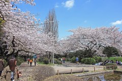 小春日よりに誘われて
