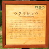 ラクウショウの説明看板