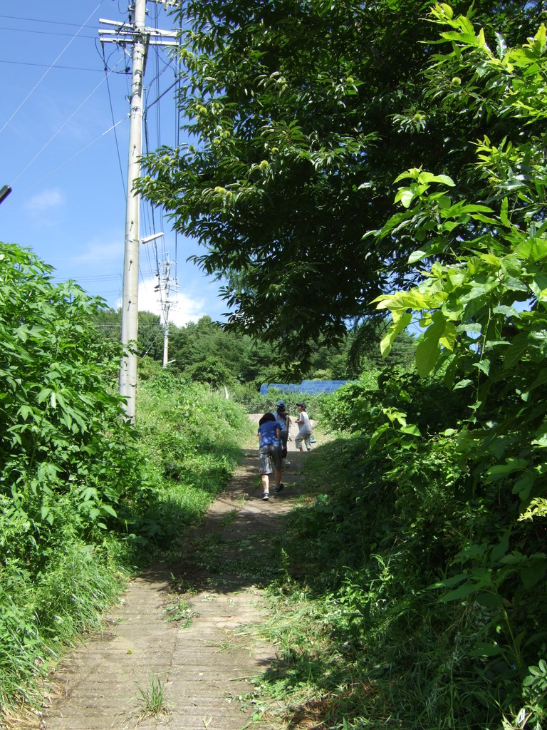 子供の頃の通学路