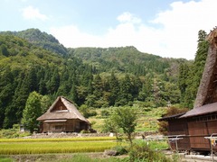 懐かしい風景