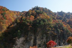 秋色の屏風岩