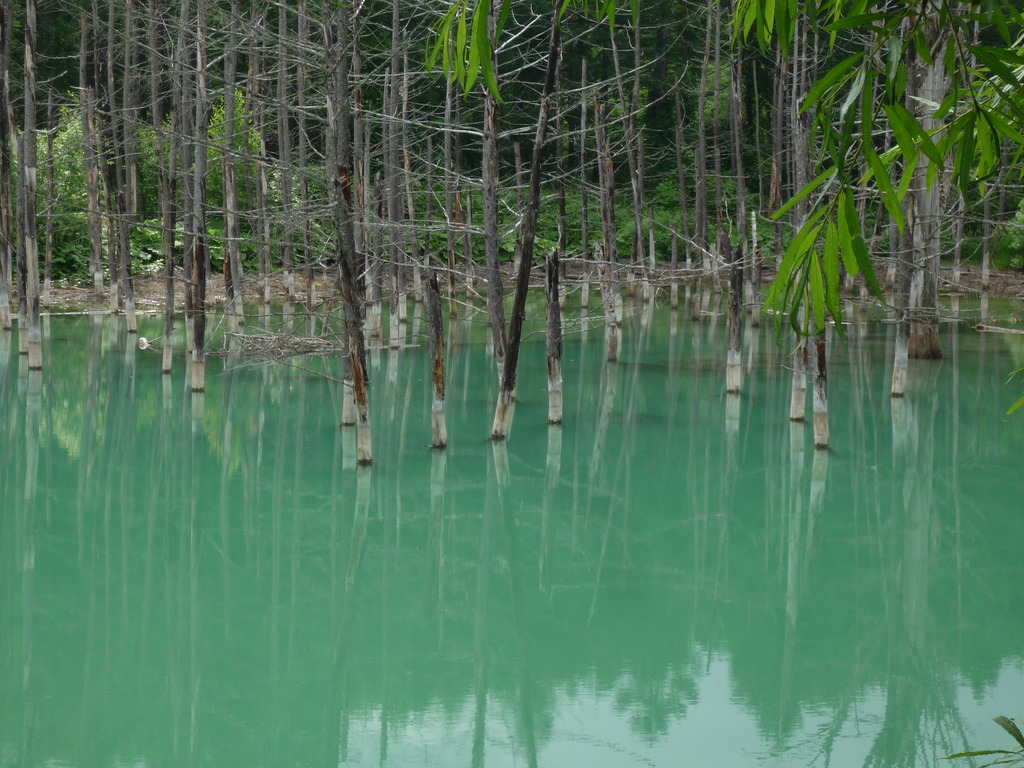 青い池。