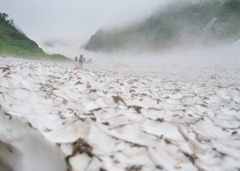 霧の中へ