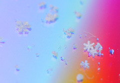 輝く雪