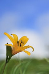 早くみれないかな～！！