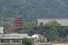 フェリーよりｉｎ五重塔