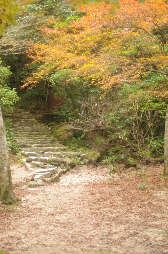 和び寂び