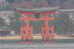 フェリーから