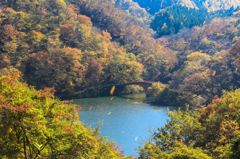 木枯らし吹く碓氷湖