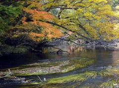 湯の湖