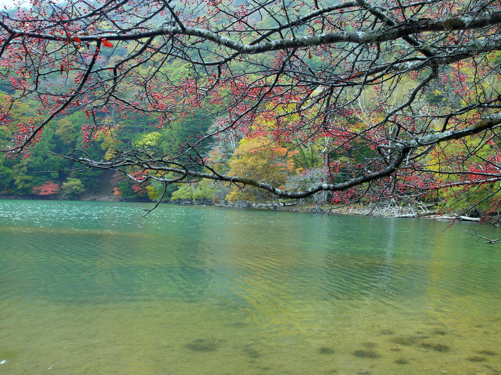 西ノ湖