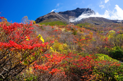 紅葉の茶臼岳