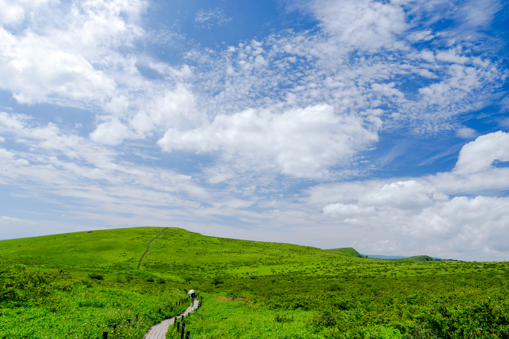 蝶々深山