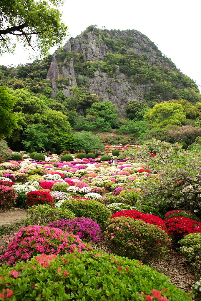 つつじ　御船山楽園