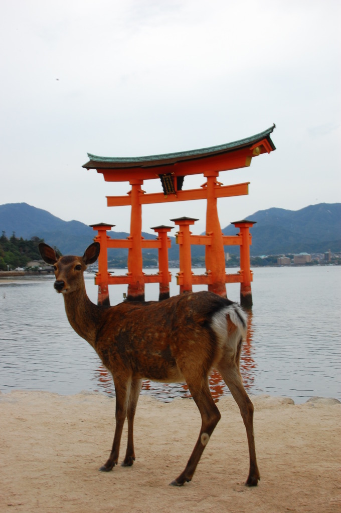 厳島の神