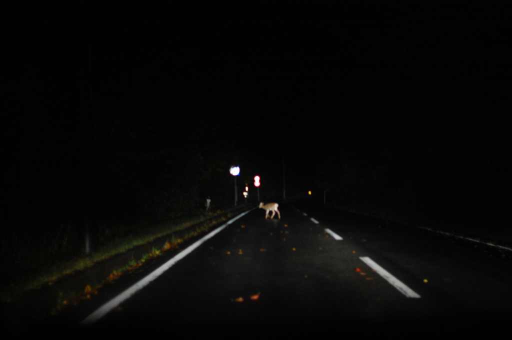 闇夜をわたる
