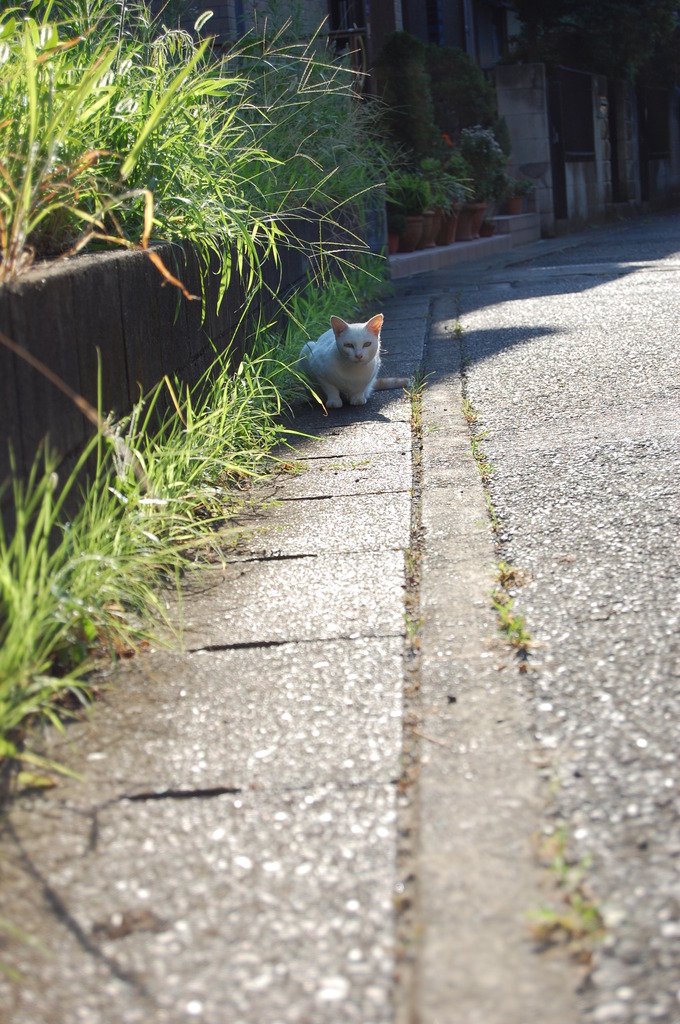 位置について