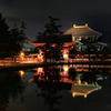 なら燈花会－東大寺　鏡池