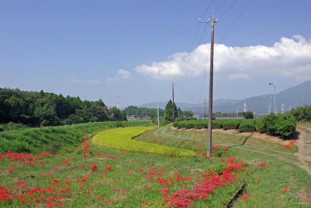 三日月田