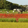 秋に歩く