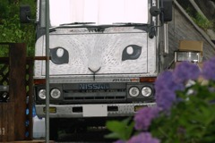 猫車