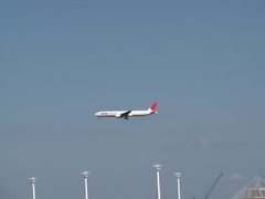 飛行機