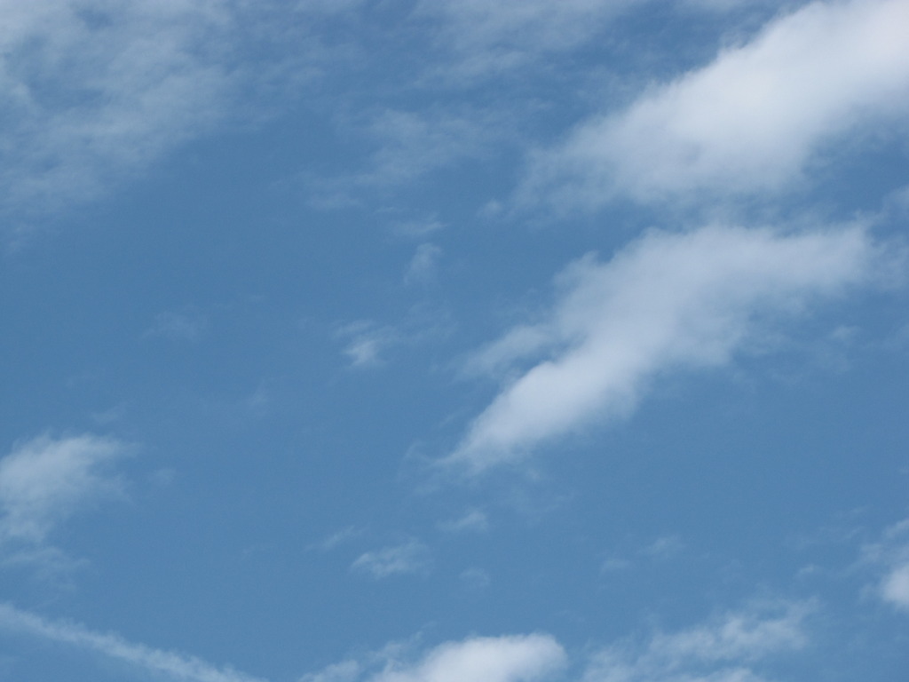秋雲