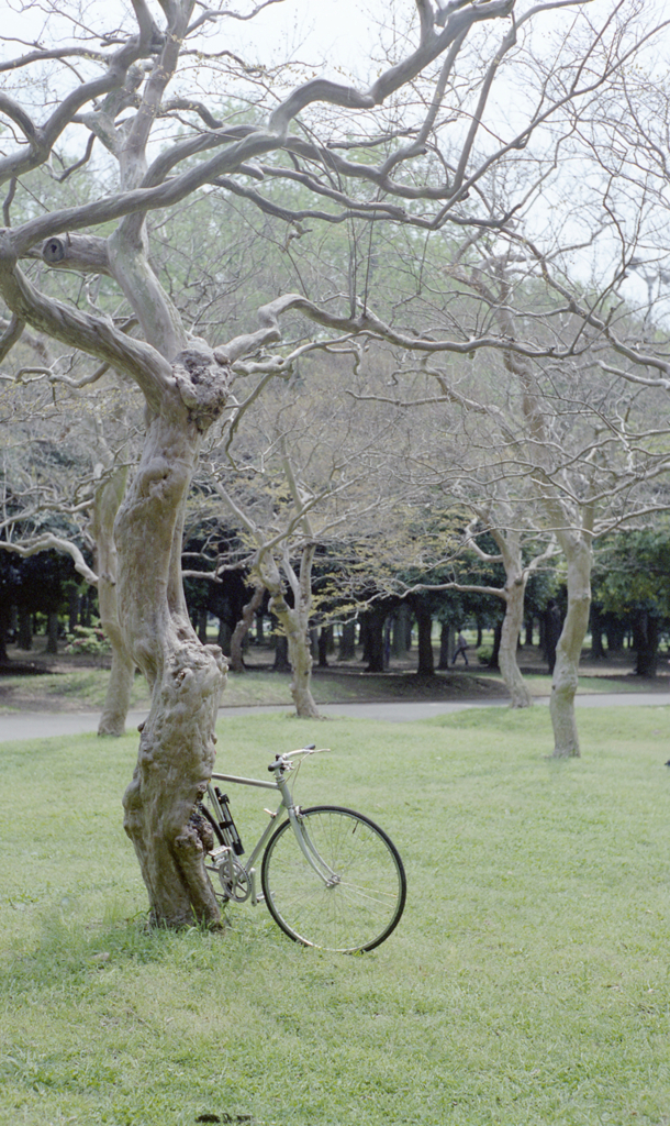 自転車を停めて
