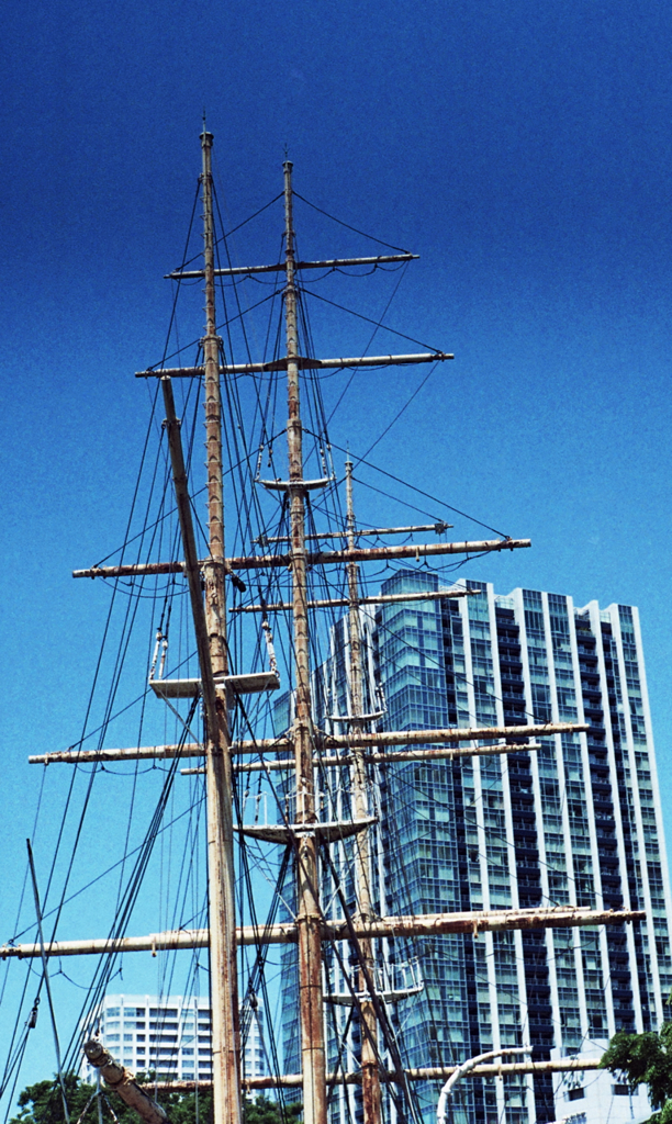 ビルの海に帆を立てて