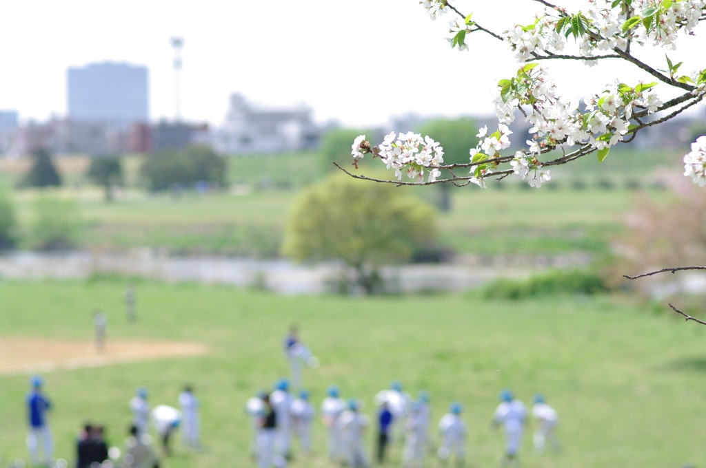 日曜の朝に...