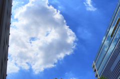 眩しい空を見上げて