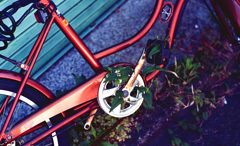 持ち主なき自転車