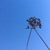 仲良し
