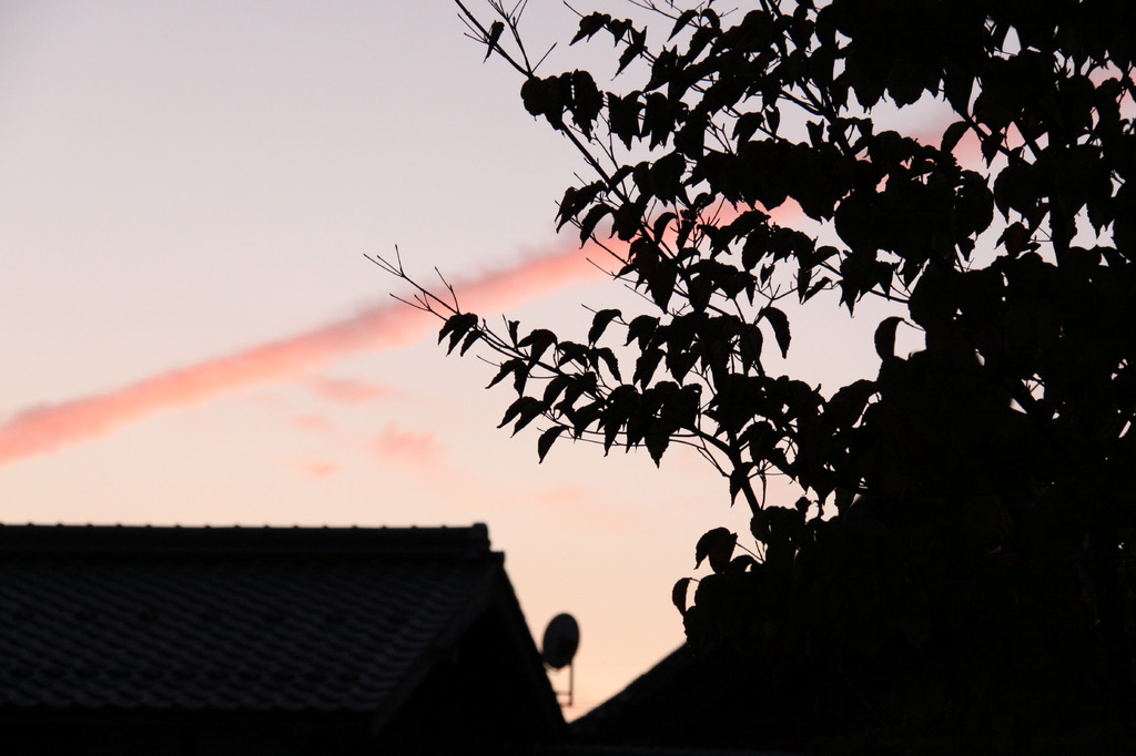 夕色
